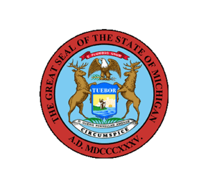 Michigan State Medicaid thumbnail image