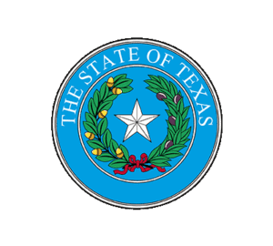 Texas State Medicaid thumbnail image