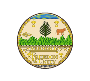 Vermont State Medicaid thumbnail image