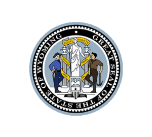 Wyoming State Medicaid thumbnail image